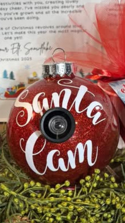 Santa/Elf cam