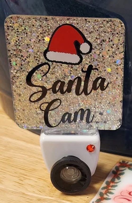 Santa/Elf cam